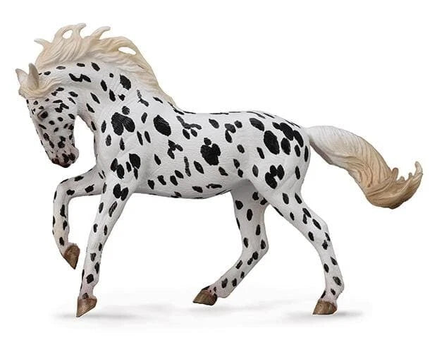 Knabstrupper Mare
