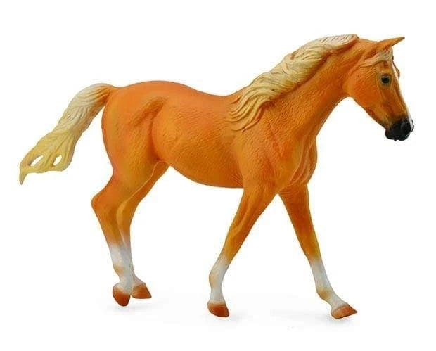 Missouri Fox Trotter Mare