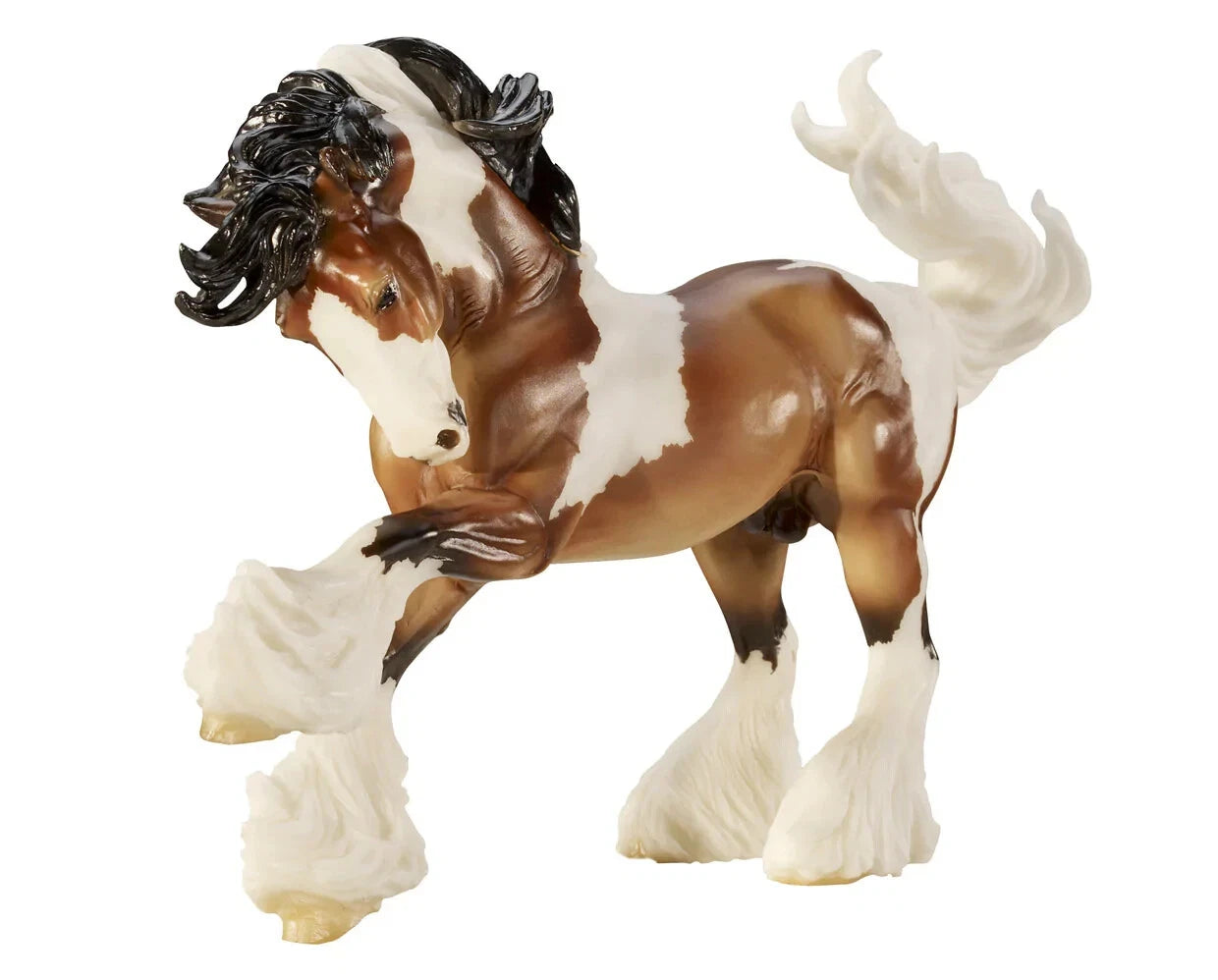 Gypsy Vanner