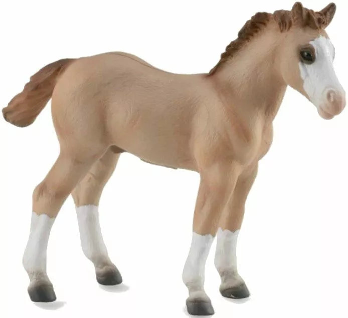 Quarter Horse- Red Dun