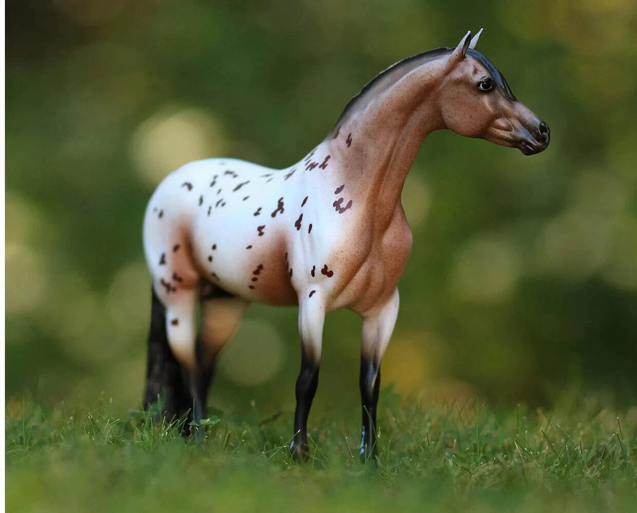 Ideal Series Pony of the Americas- Retired