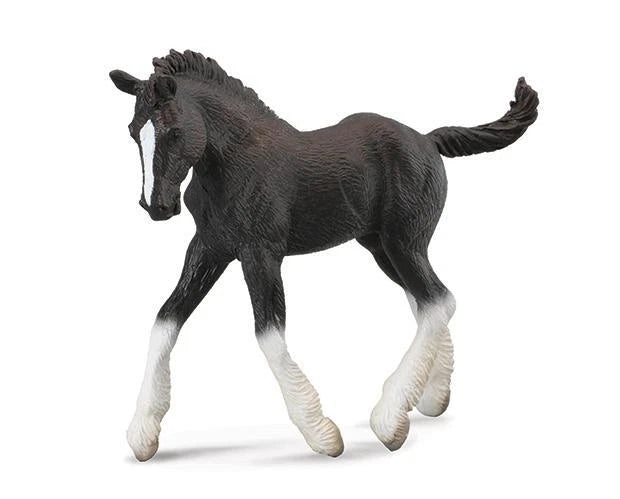 Shire Foal- Black