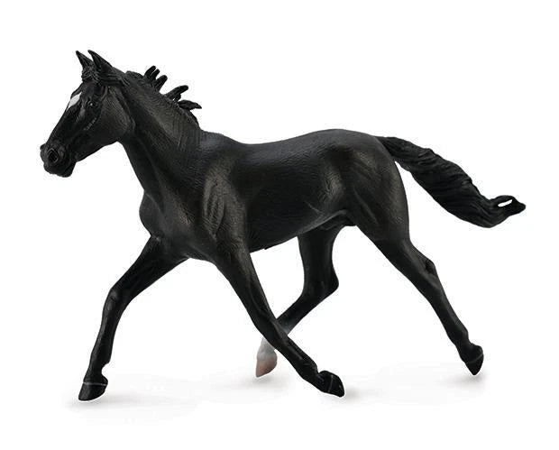 Standardbred Pacer Stallion- Black