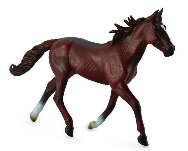 Standardbred Pacer Stallion- Chestnut