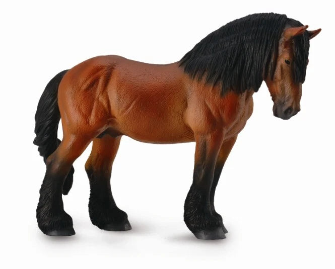 Ardennes Stallion- Bay