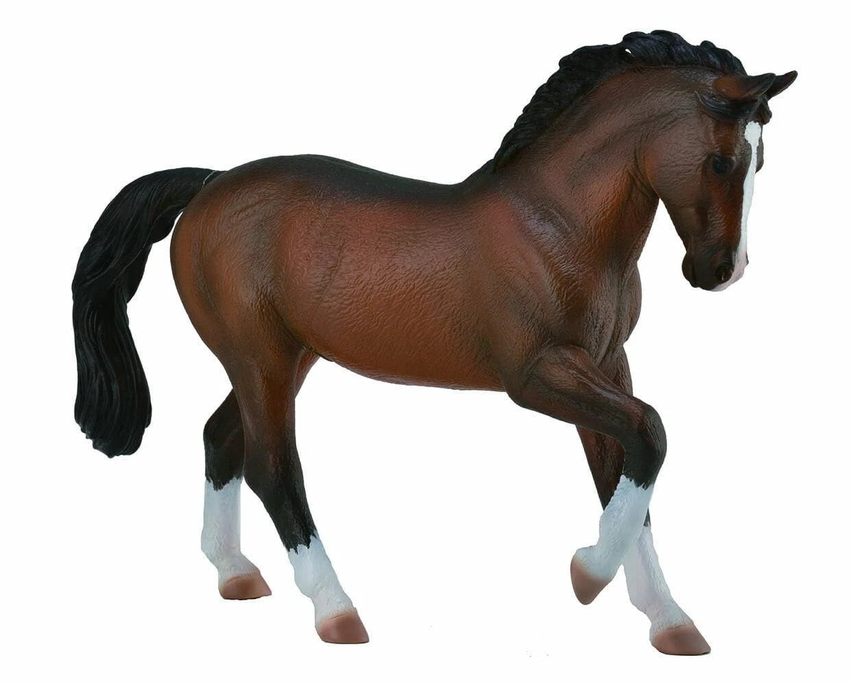 Warmblood Stallion- Bay