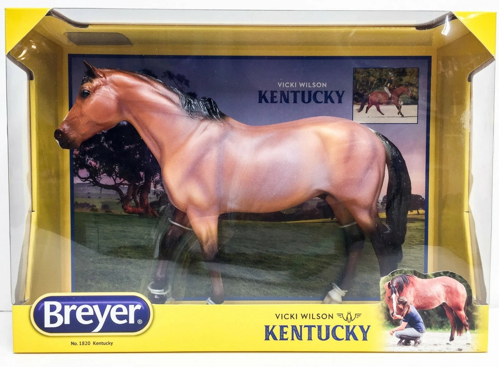 Vicky Wilson's Kentucky- Retired