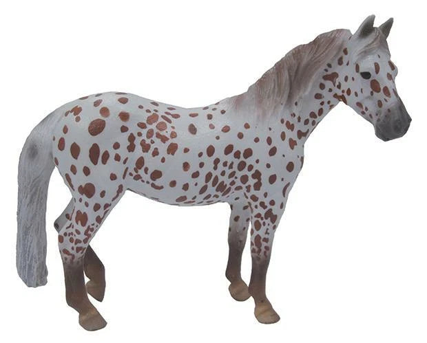 British Spotted Pony Mare- Red Leopard Appy