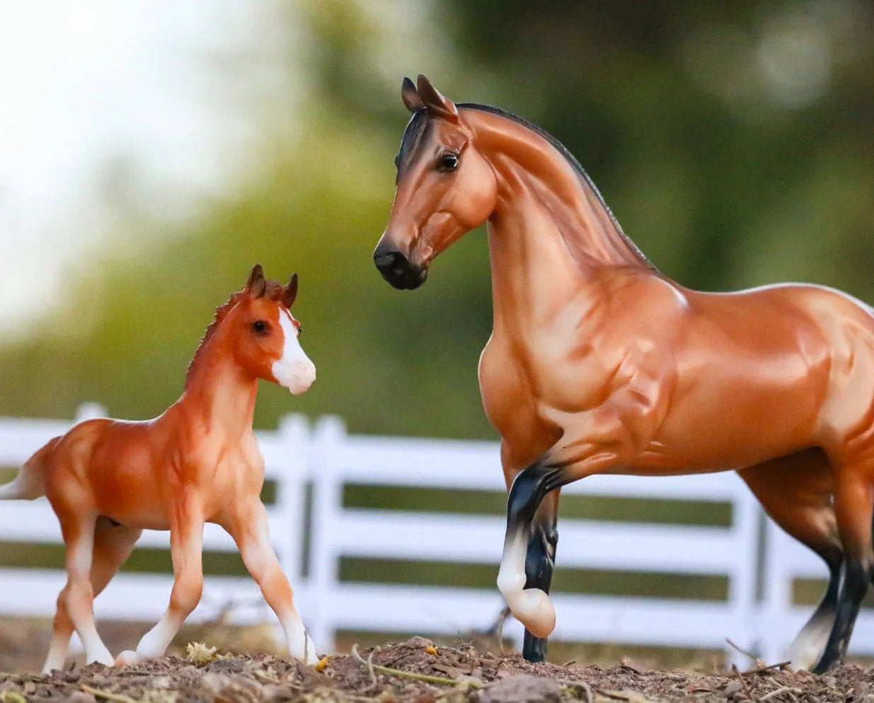 Spanish Mustang Family- Retired