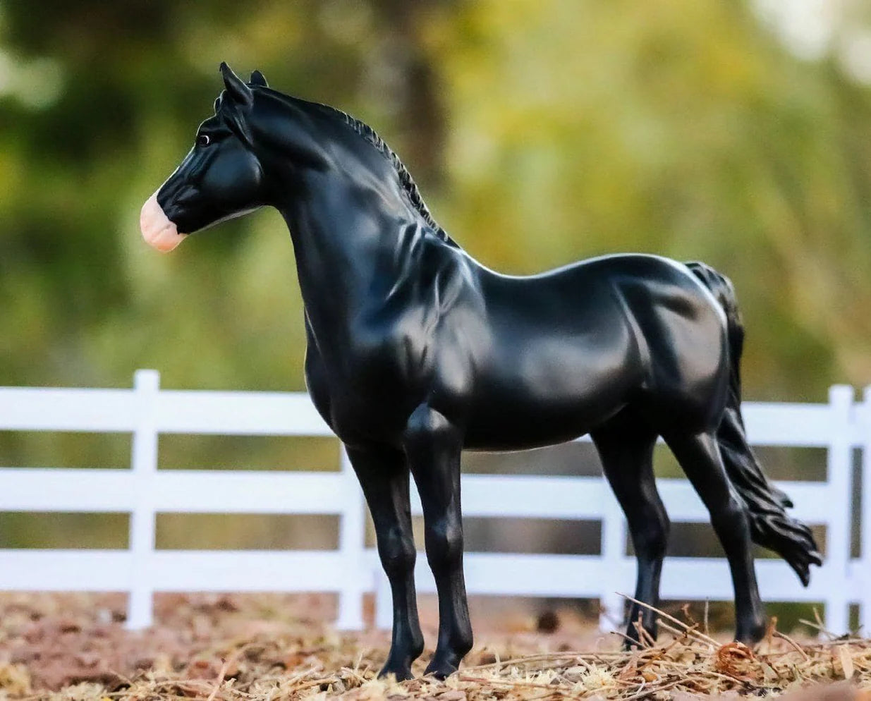 Spanish Mustang Family- Retired
