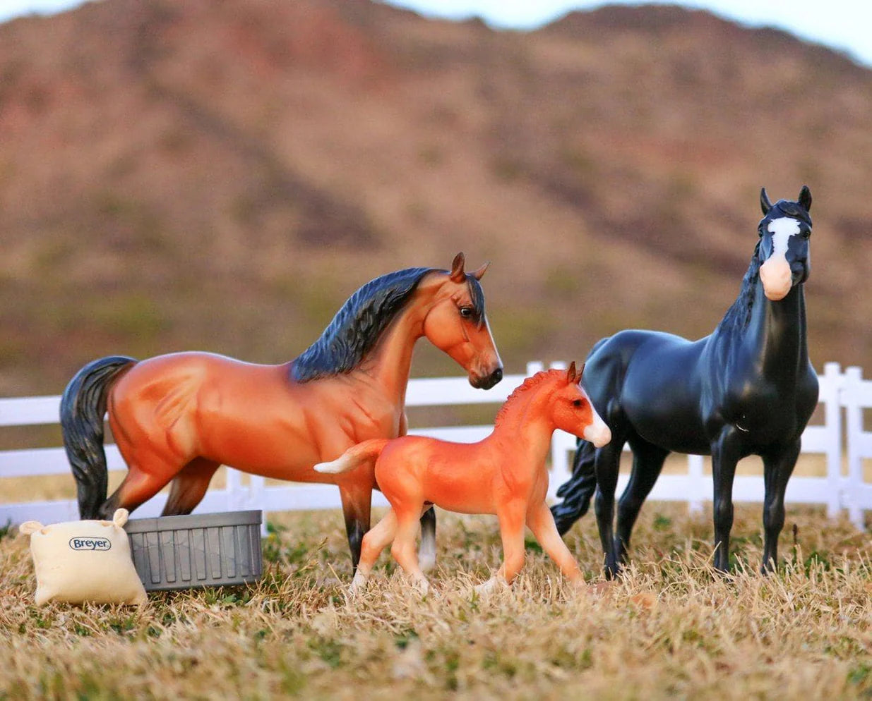 Spanish Mustang Family- Retired