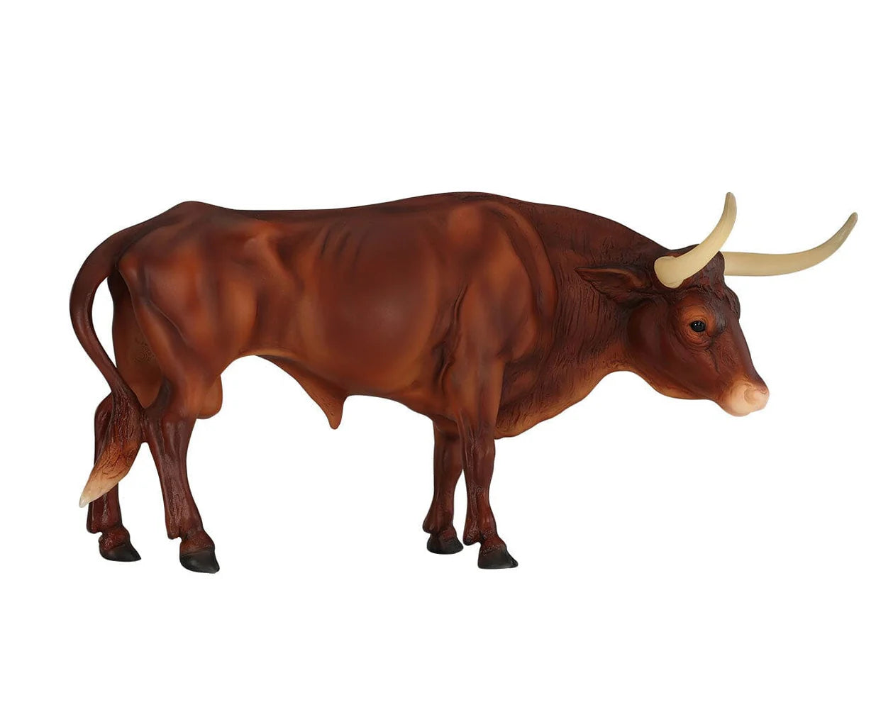 Longhorn Bull