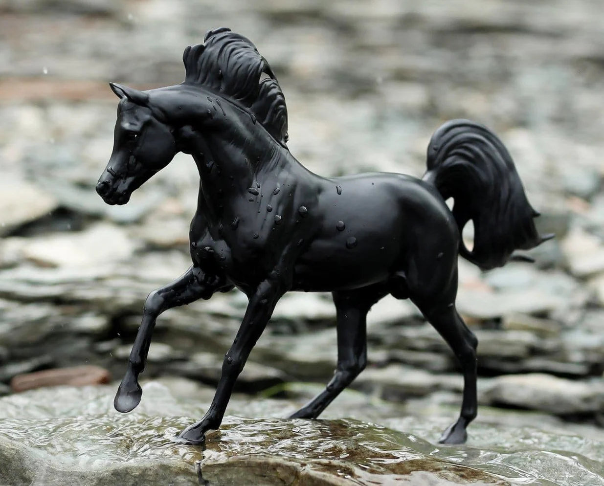 Black Stallion Book Set