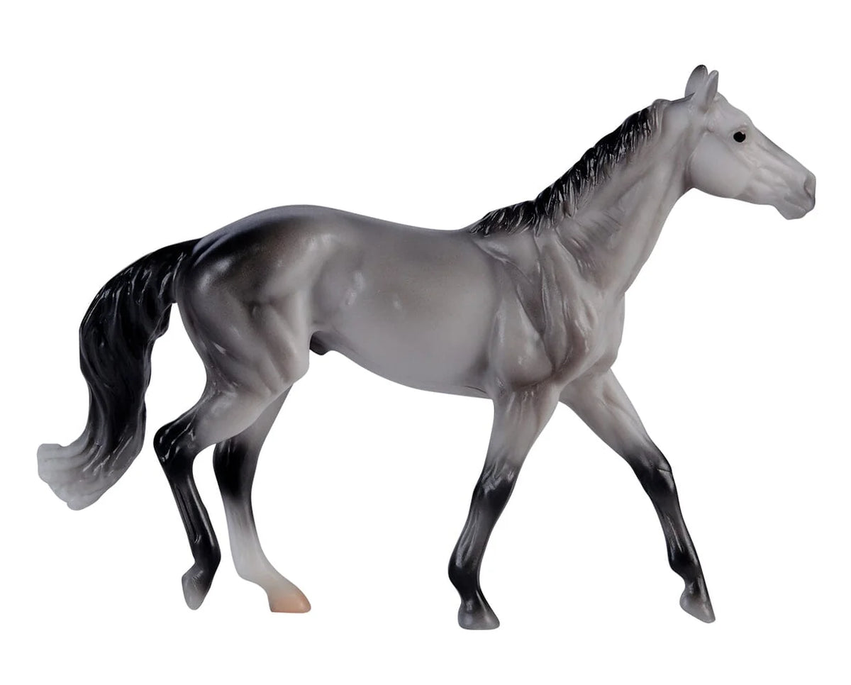Thoroughbred