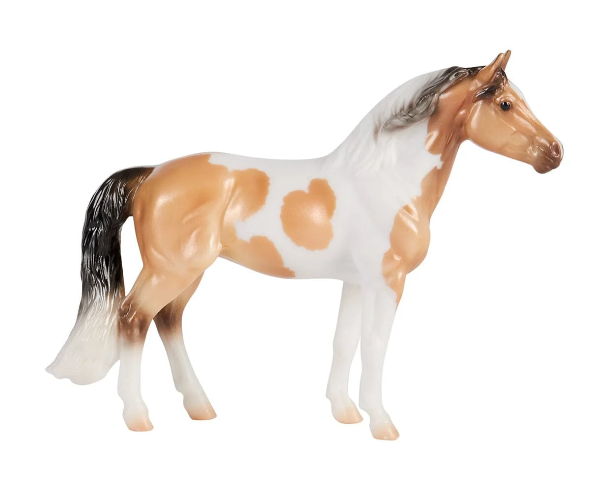 Warmblood