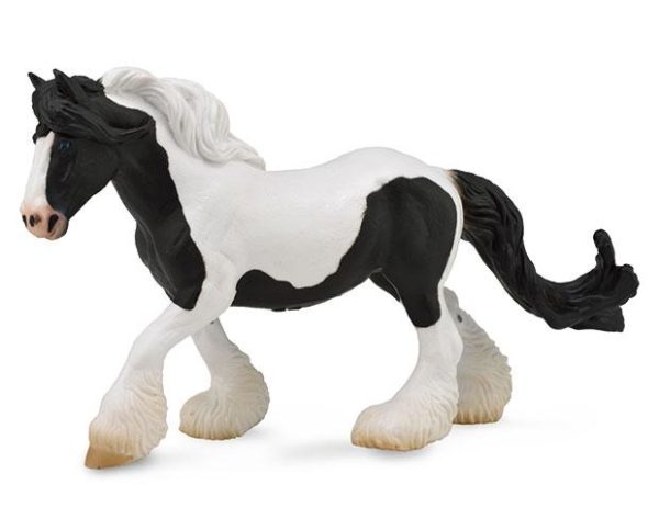 Gypsy Mare, Black & White Piebald