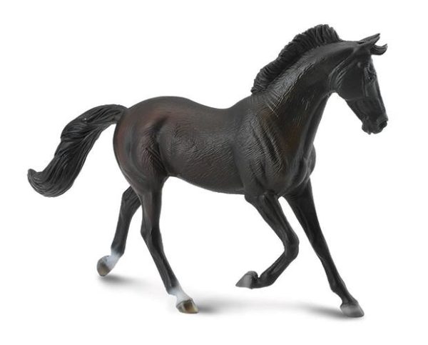 Thoroughbred Mare, Black