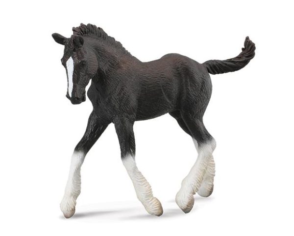 Shire Foal, Black