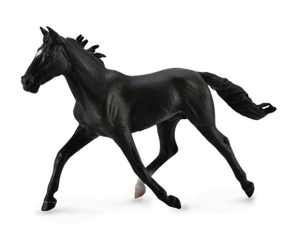 Standardbred Pacer Stallion, Black