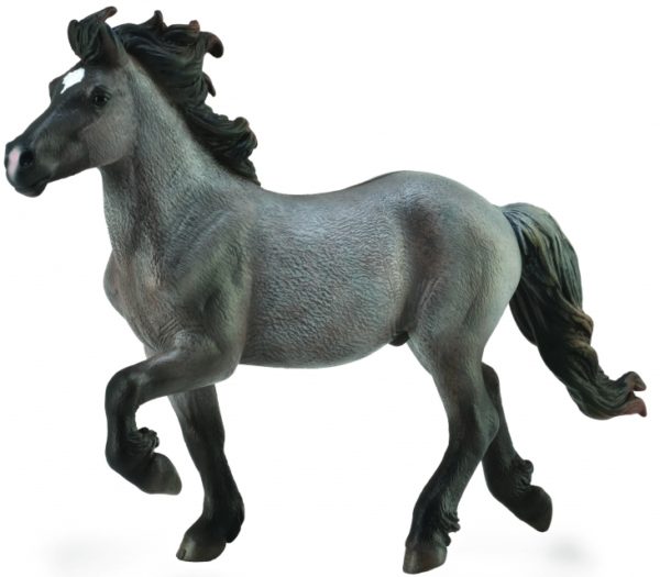 Icelandic Stallion Blue Dun